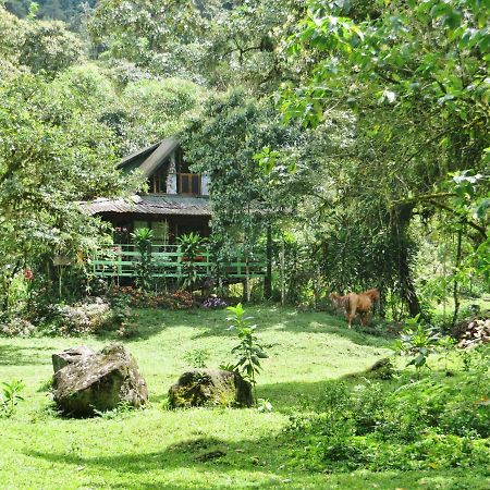 Mindo Eco Chalet Con Rio Y Cascada エクステリア 写真