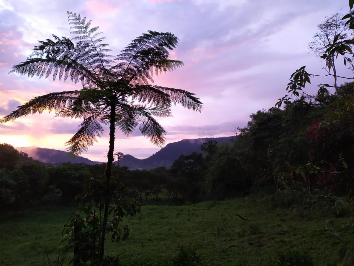 Mindo Eco Chalet Con Rio Y Cascada エクステリア 写真