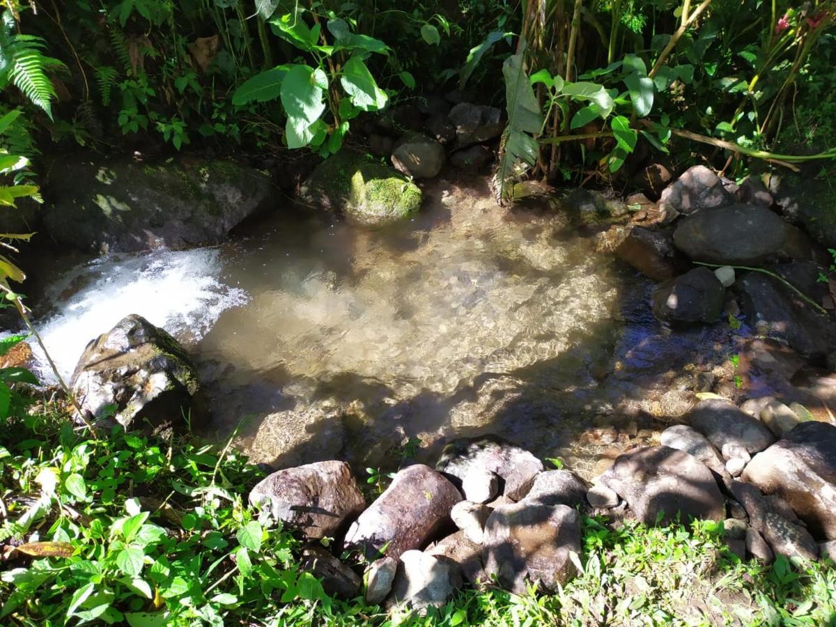 Mindo Eco Chalet Con Rio Y Cascada エクステリア 写真