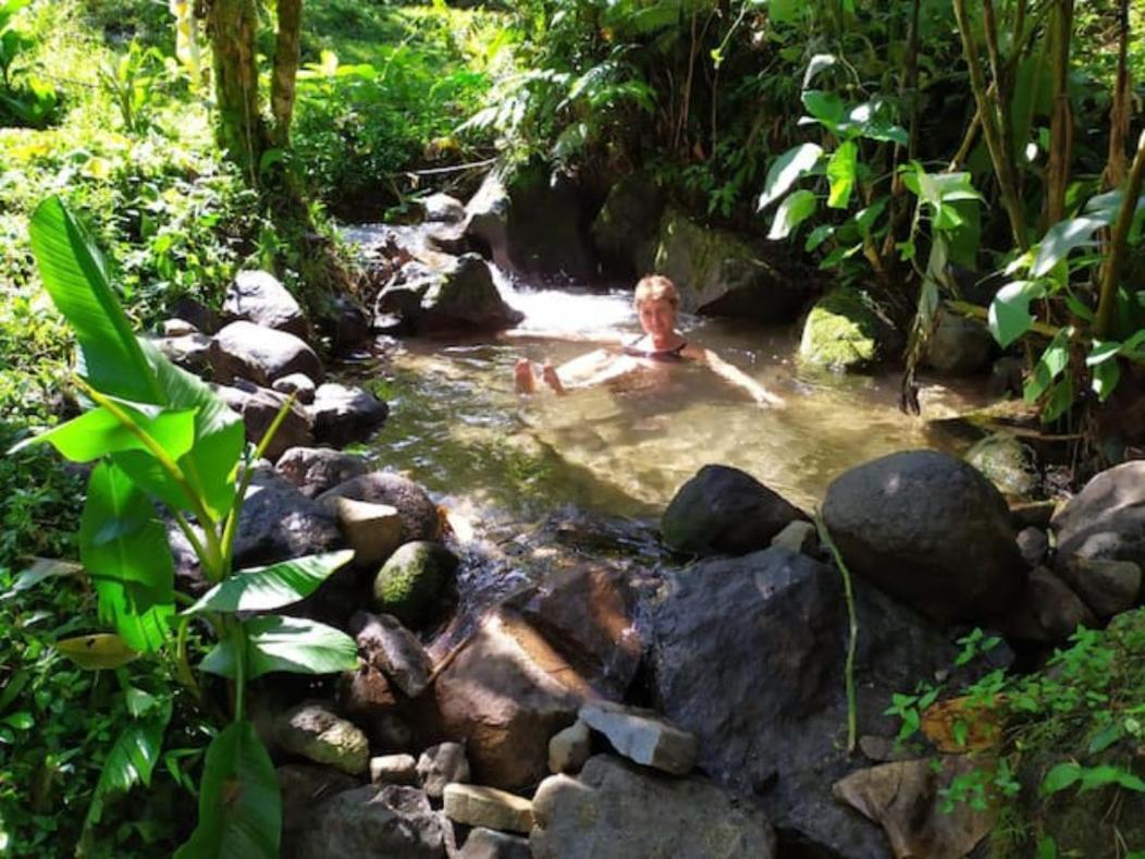 Mindo Eco Chalet Con Rio Y Cascada エクステリア 写真