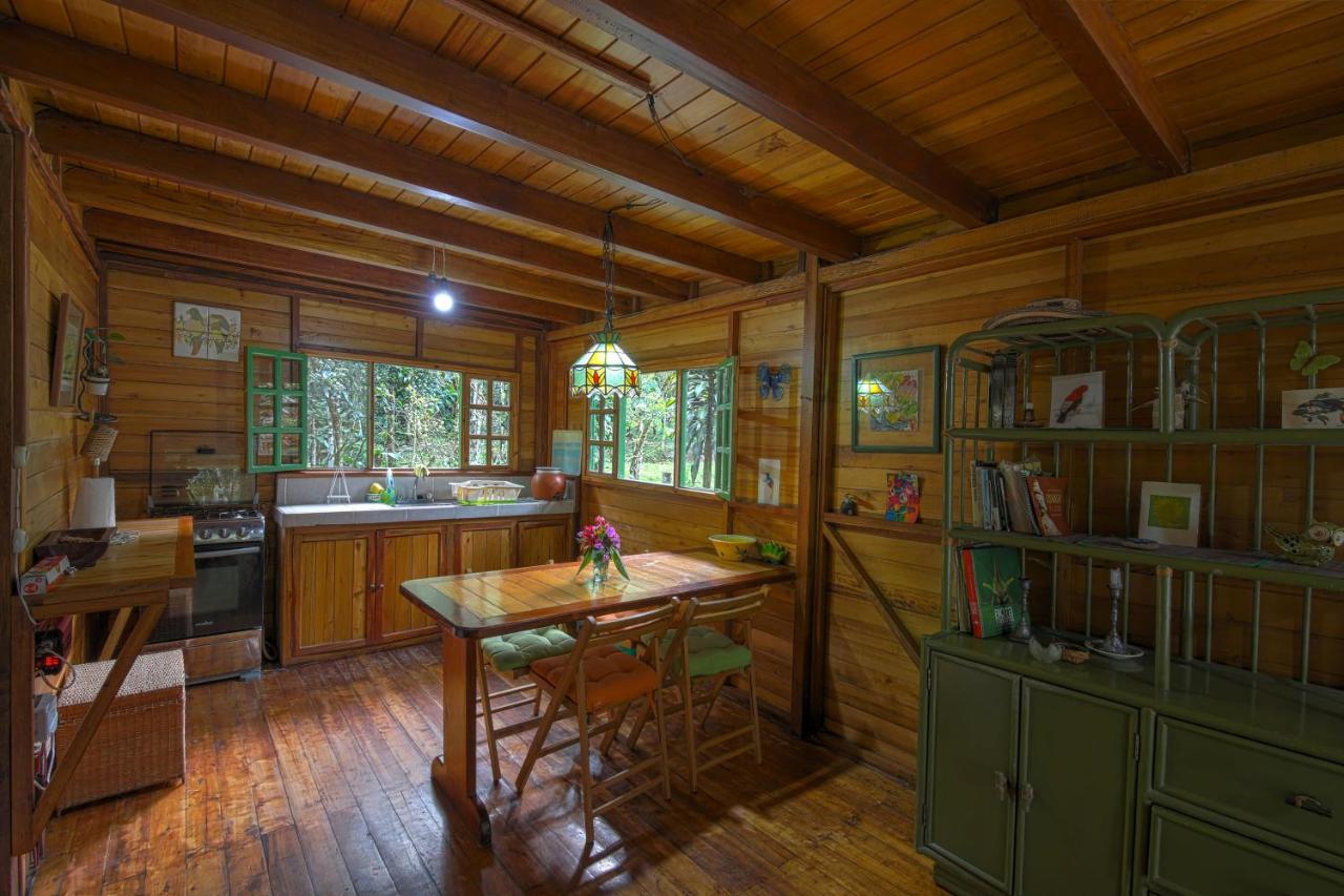 Mindo Eco Chalet Con Rio Y Cascada エクステリア 写真