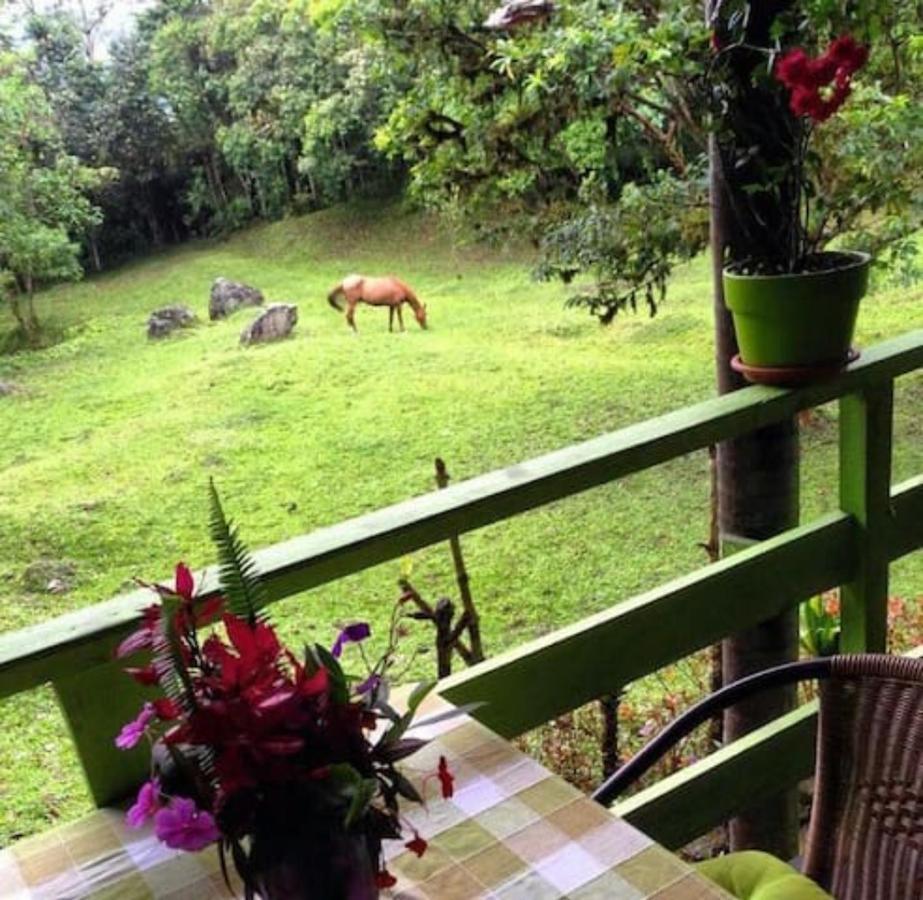 Mindo Eco Chalet Con Rio Y Cascada エクステリア 写真