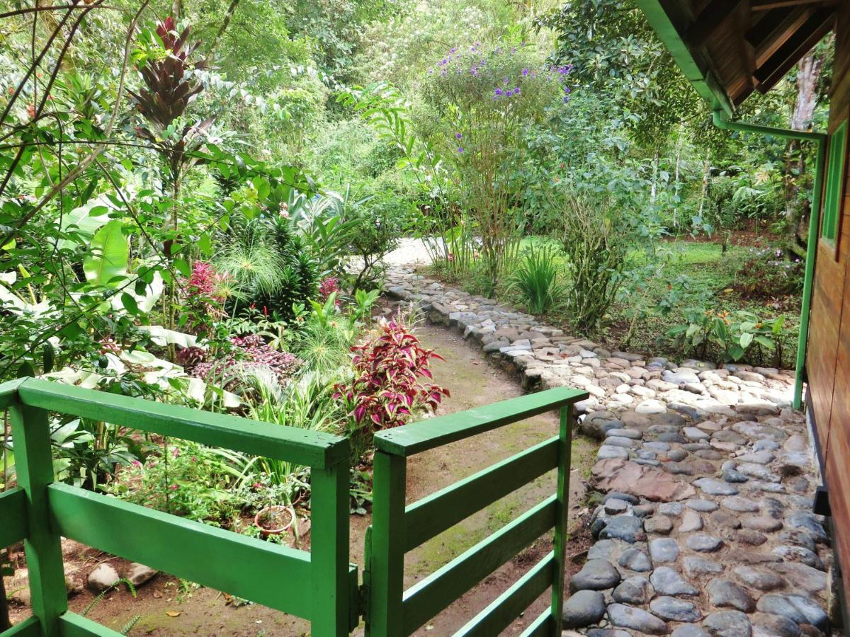 Mindo Eco Chalet Con Rio Y Cascada エクステリア 写真