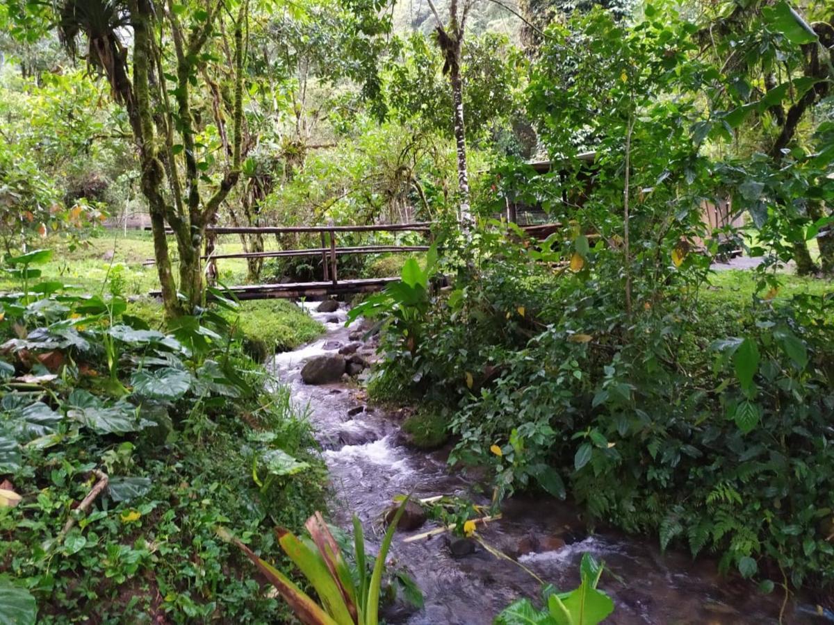 Mindo Eco Chalet Con Rio Y Cascada エクステリア 写真