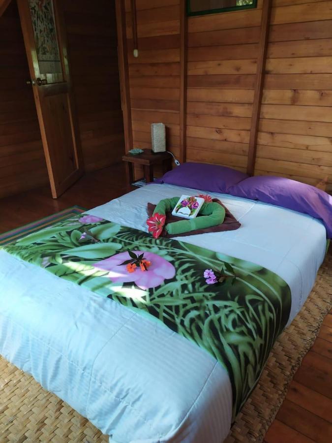 Mindo Eco Chalet Con Rio Y Cascada エクステリア 写真