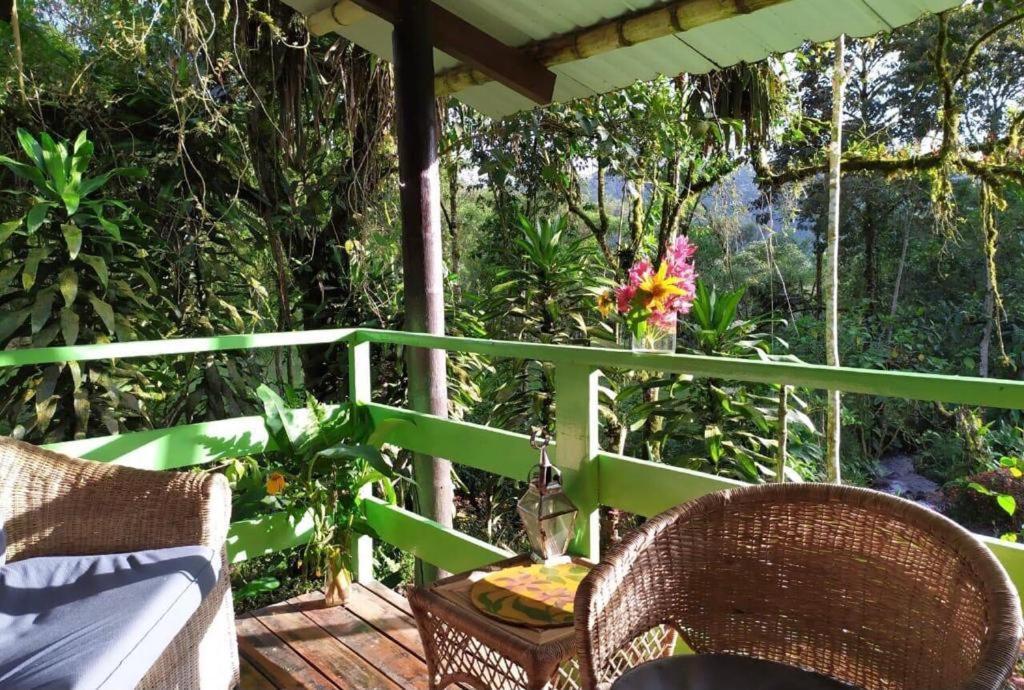 Mindo Eco Chalet Con Rio Y Cascada エクステリア 写真