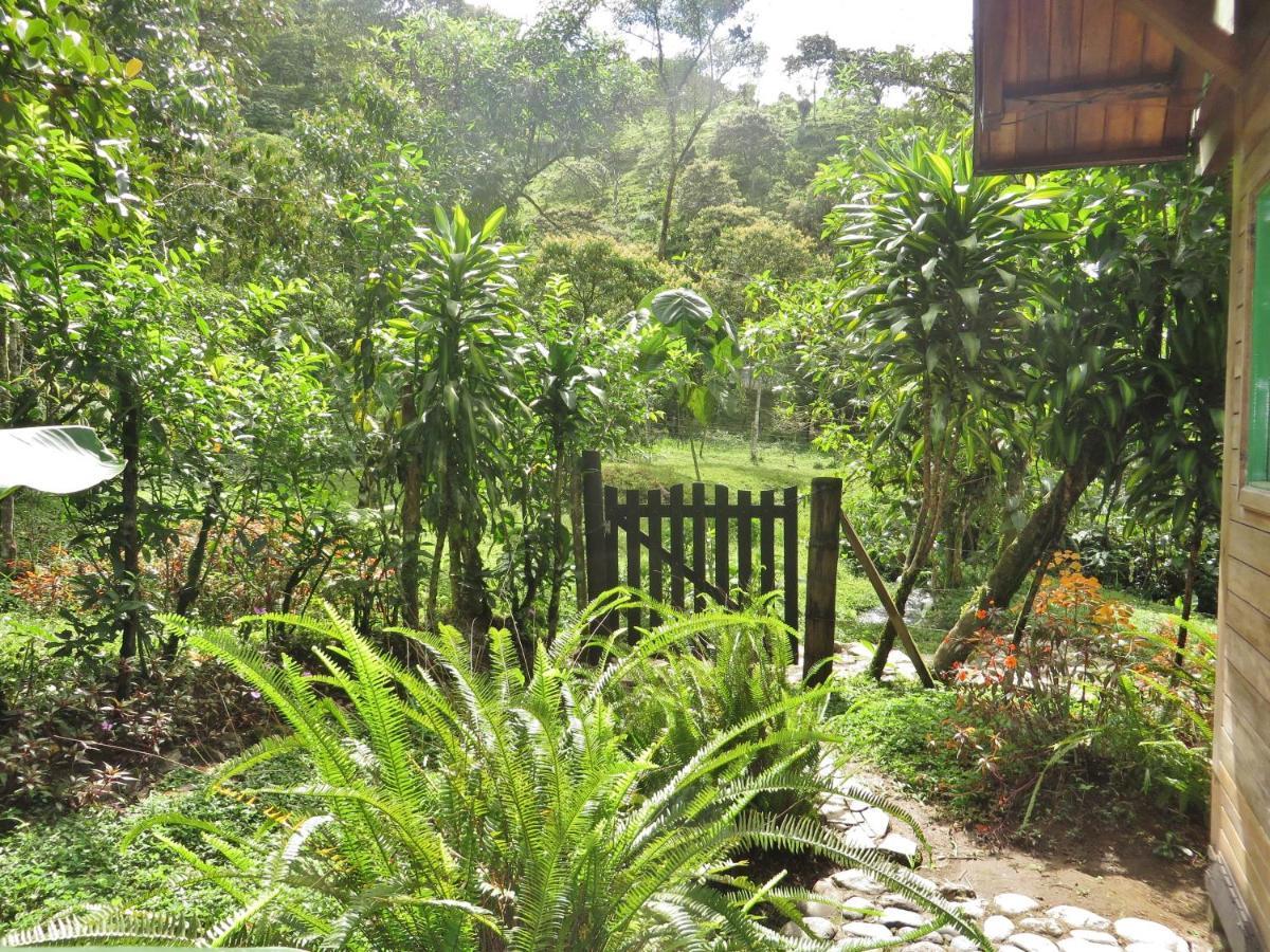 Mindo Eco Chalet Con Rio Y Cascada エクステリア 写真