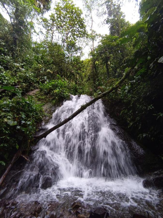 Mindo Eco Chalet Con Rio Y Cascada エクステリア 写真