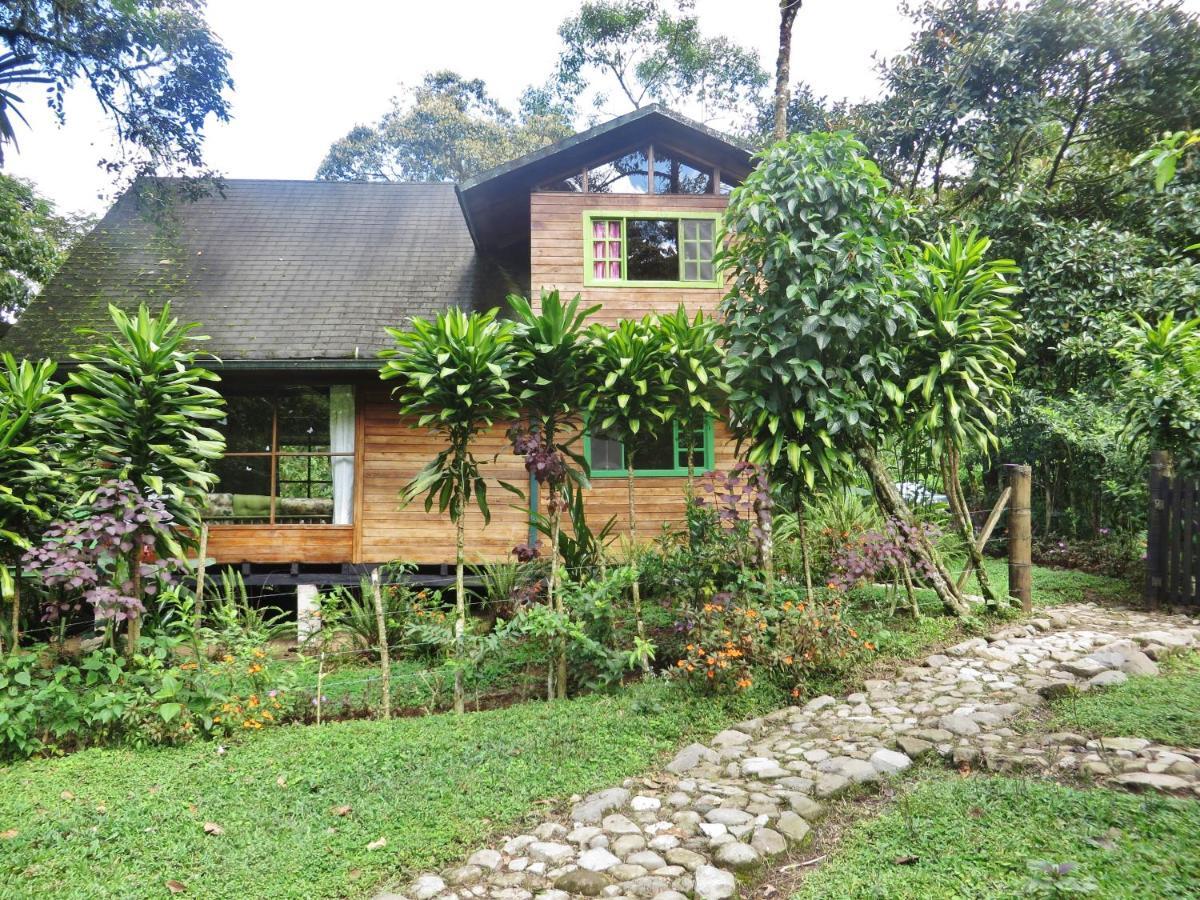 Mindo Eco Chalet Con Rio Y Cascada エクステリア 写真