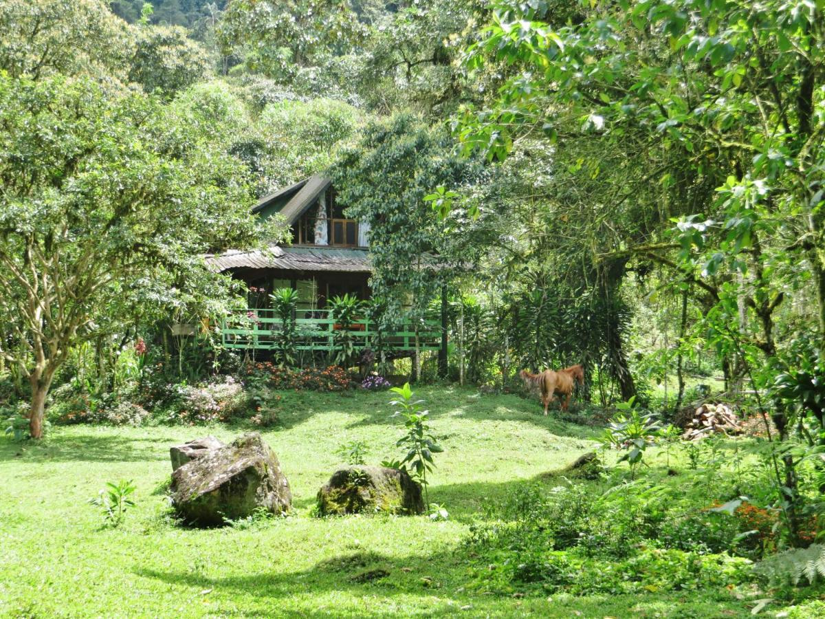 Mindo Eco Chalet Con Rio Y Cascada エクステリア 写真
