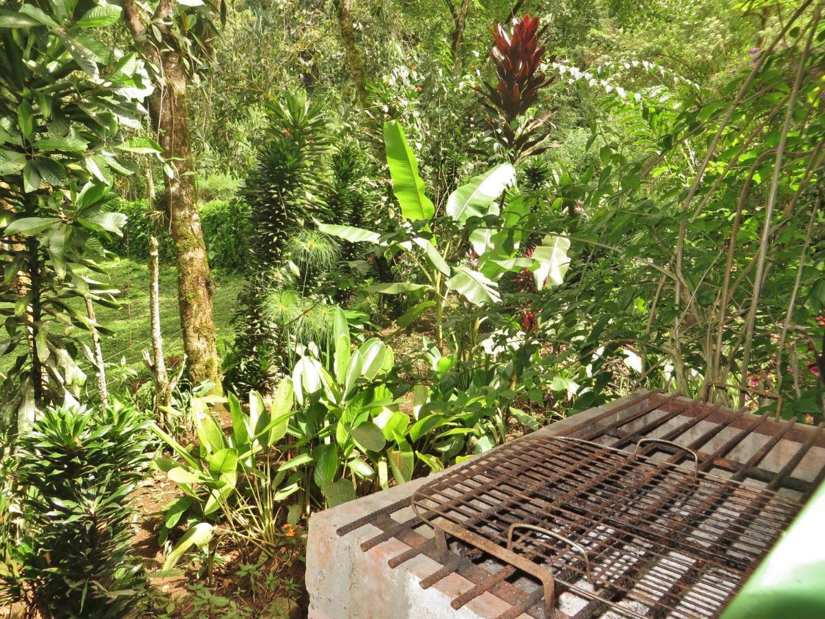 Mindo Eco Chalet Con Rio Y Cascada エクステリア 写真