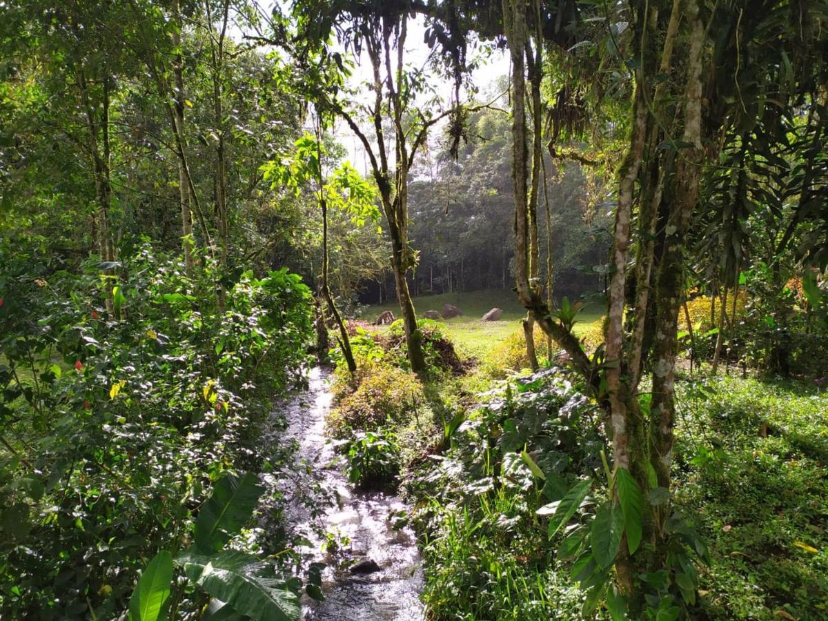 Mindo Eco Chalet Con Rio Y Cascada エクステリア 写真